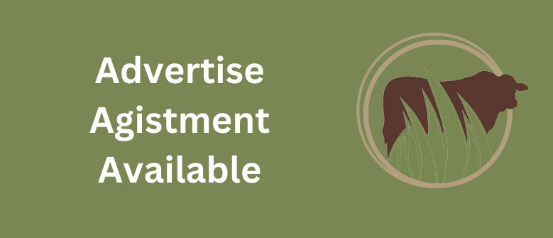 List of Agistment Wanted Advertisements