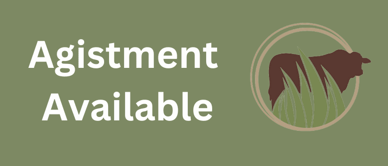 Available Agistment QLD, NSW, VIC, SA, NT, WA, TAS, Australia