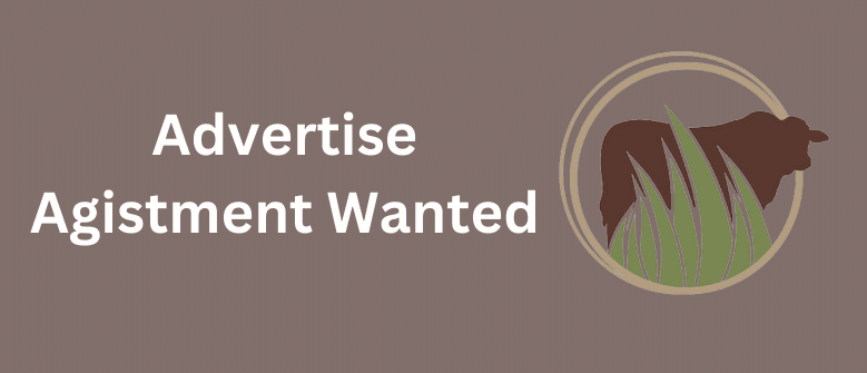 Click here to place an Agistment Wanted Advertisement