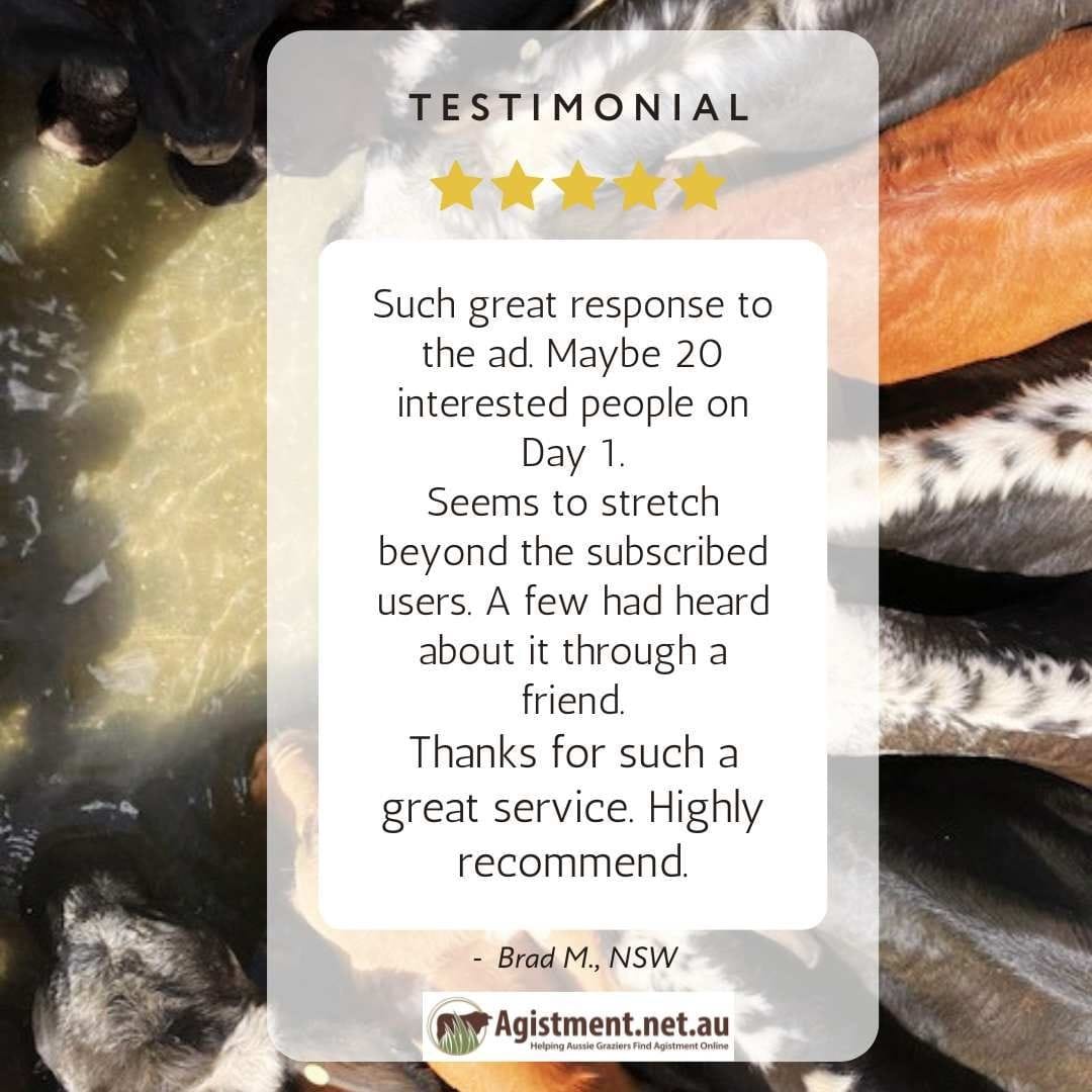 Such a great response to the ad. Thanks for such a great service. Highly recommend.