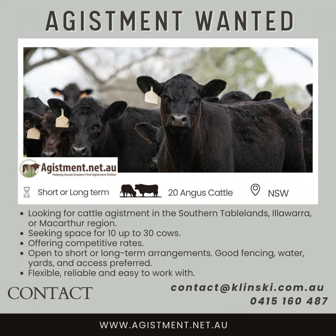 Agistment wanted in NSW Southern Tablelands, Illawarra or Macarthur region for up to 30 Angus cows